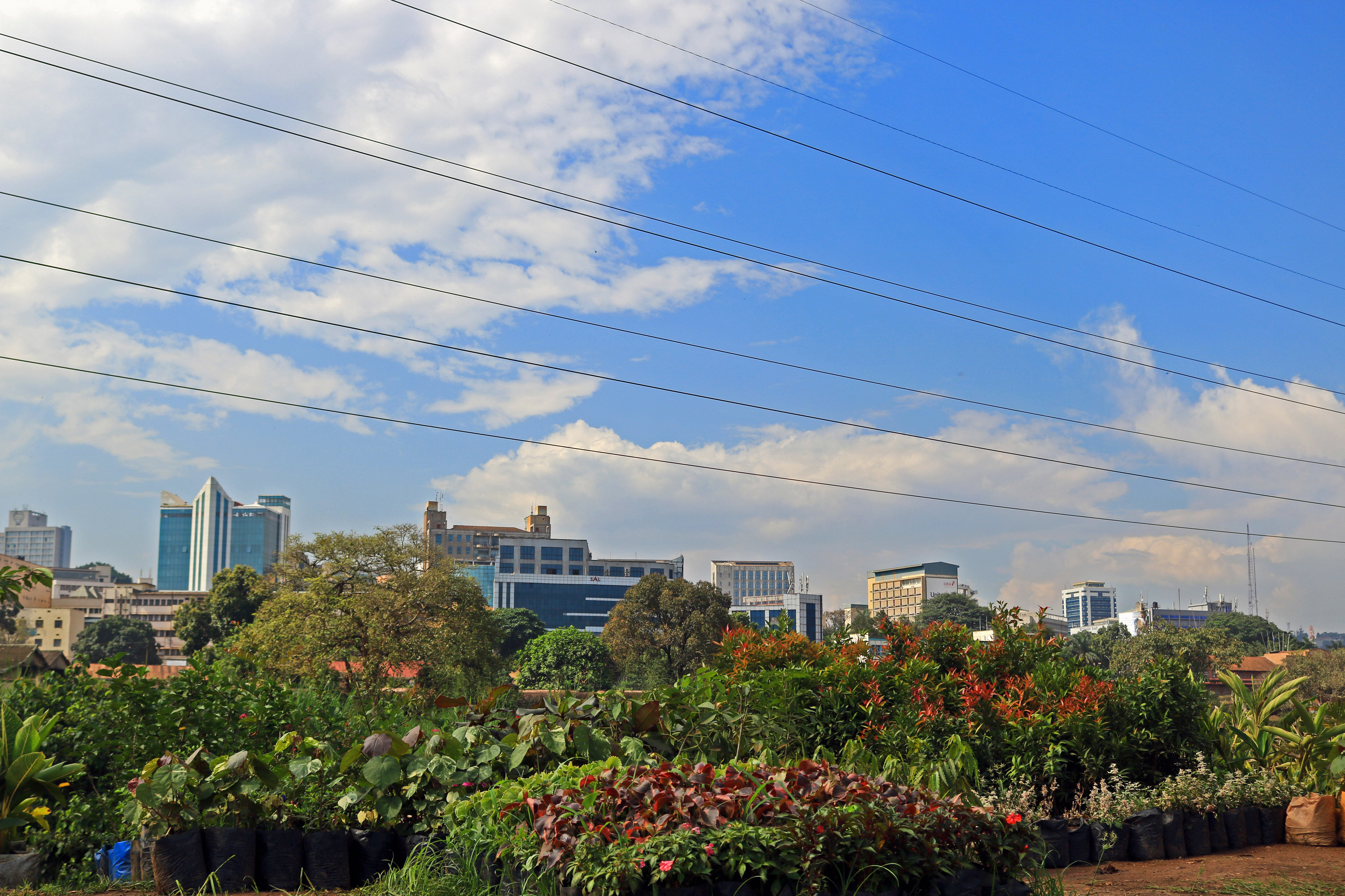 The seven hills of Kampala — the East African capital from which the Kampala Art Biennale takes its title, its 2016 curatorial framing and its institutional geography.