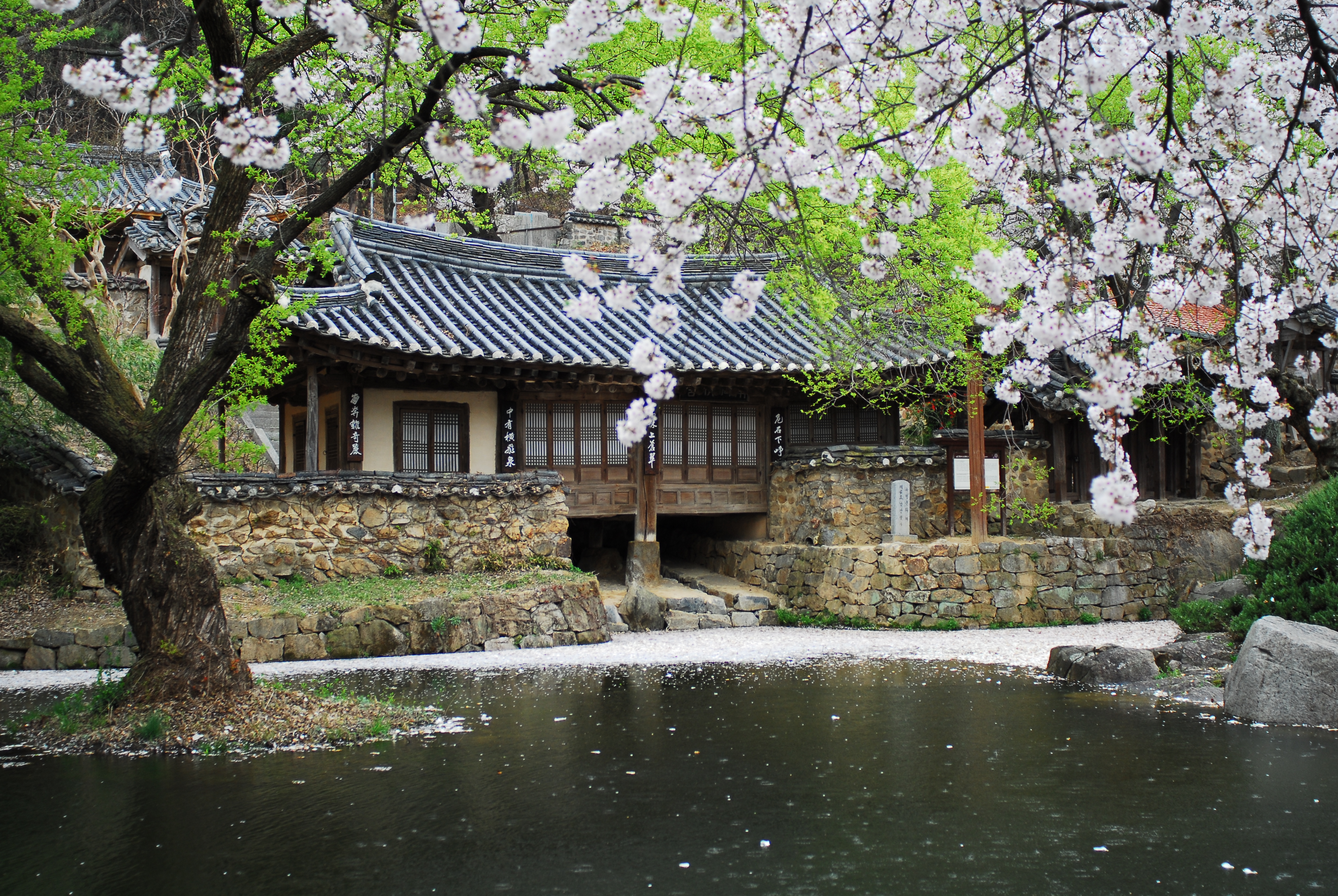 Daejeon Museum of Art — host institution of the Daejeon Biennale since 2000.