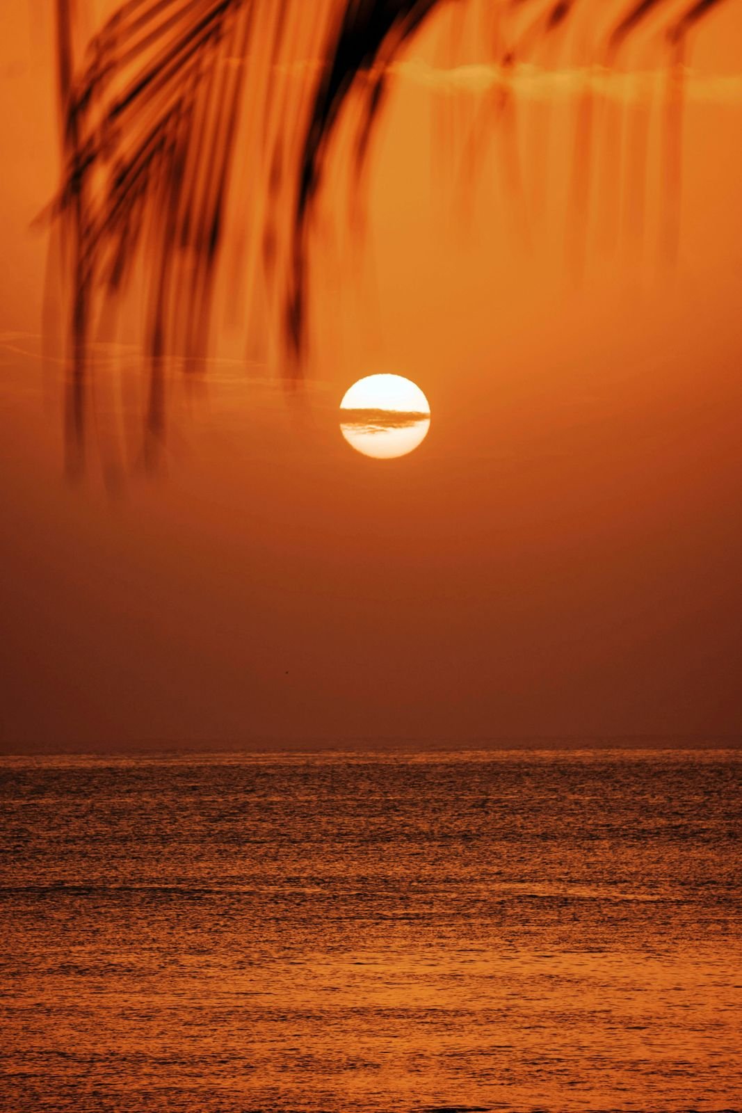 Sunset over the Atlantic, Dakar
