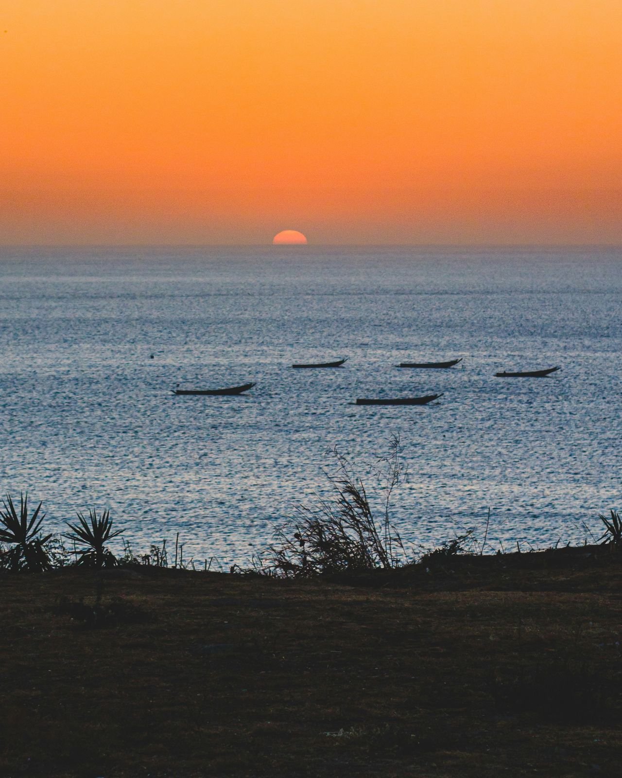 Pirogues at anchor at sunset, Senegal