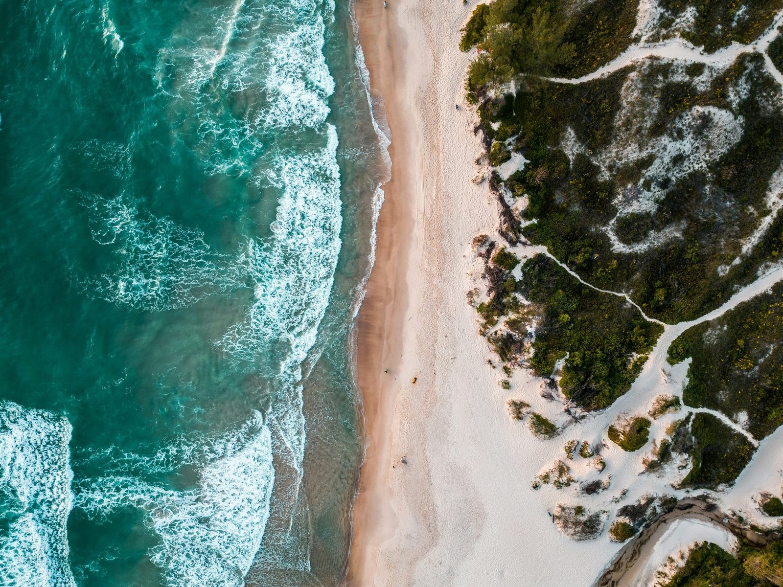 Directly overhead view of turquoise surf breaking on a strip of pale sand beside scrub-covered dunes crossed by footpaths