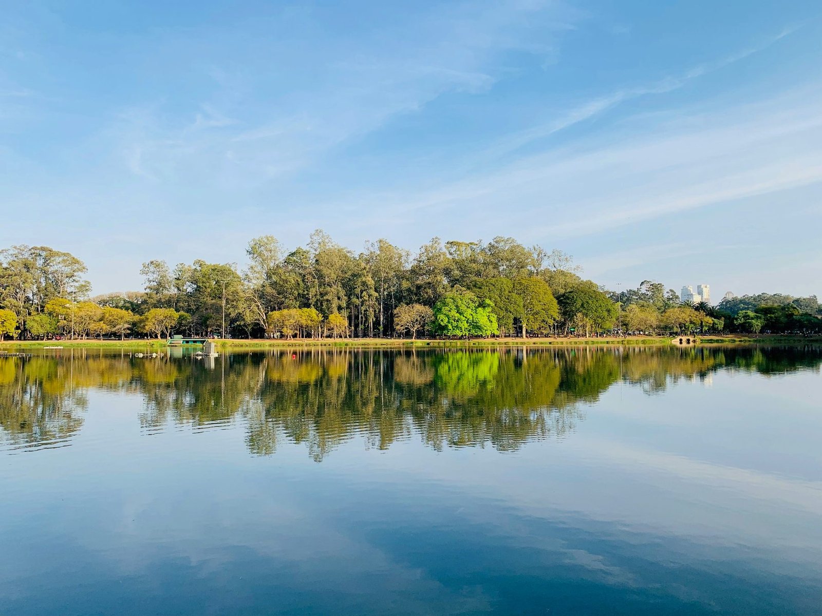 A line of trees is mirrored in still water beneath a blue sky streaked with thin cloud
