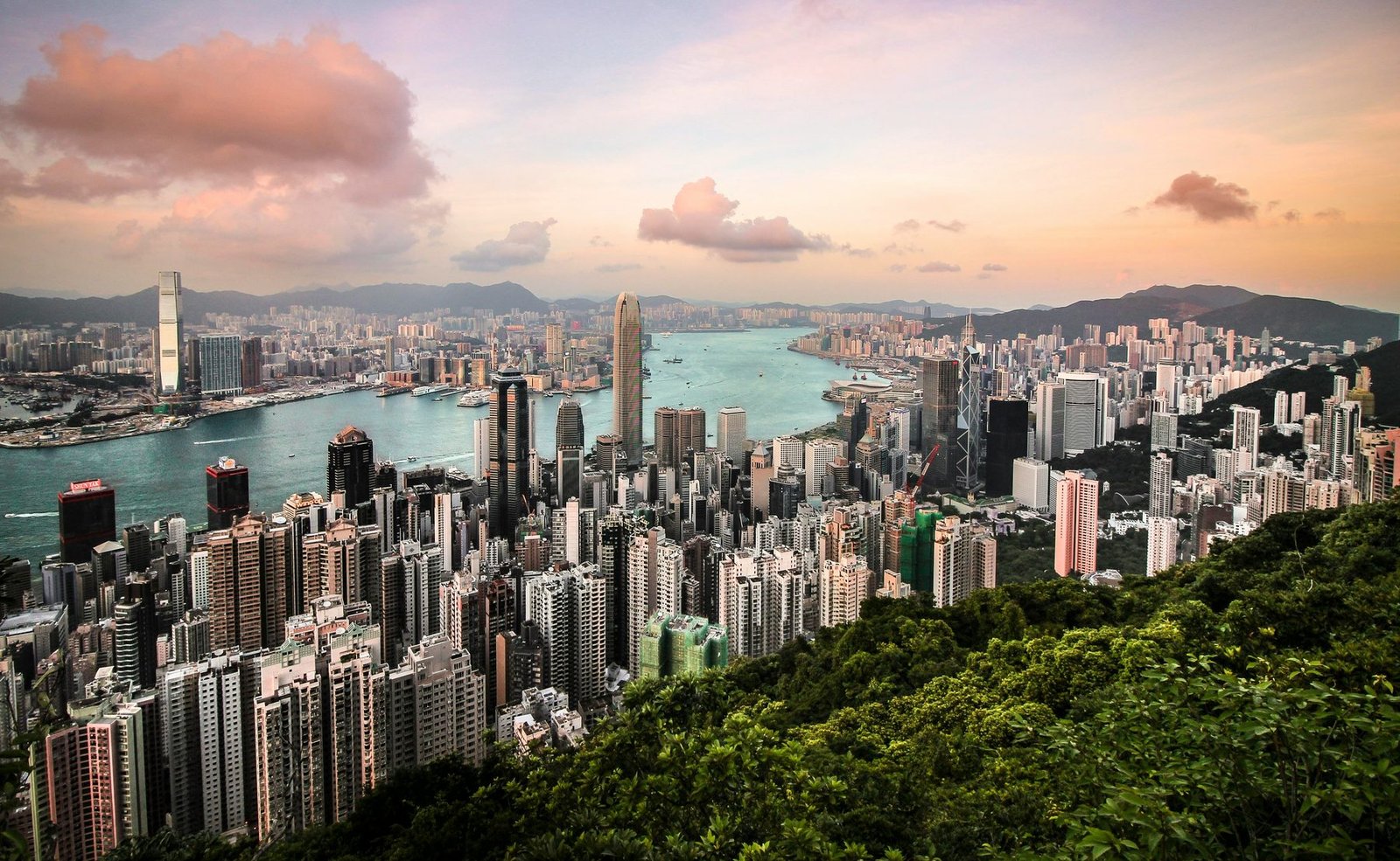Dense towers fill the slopes and shoreline around a harbor beneath pink clouds, with green hillside in the foreground