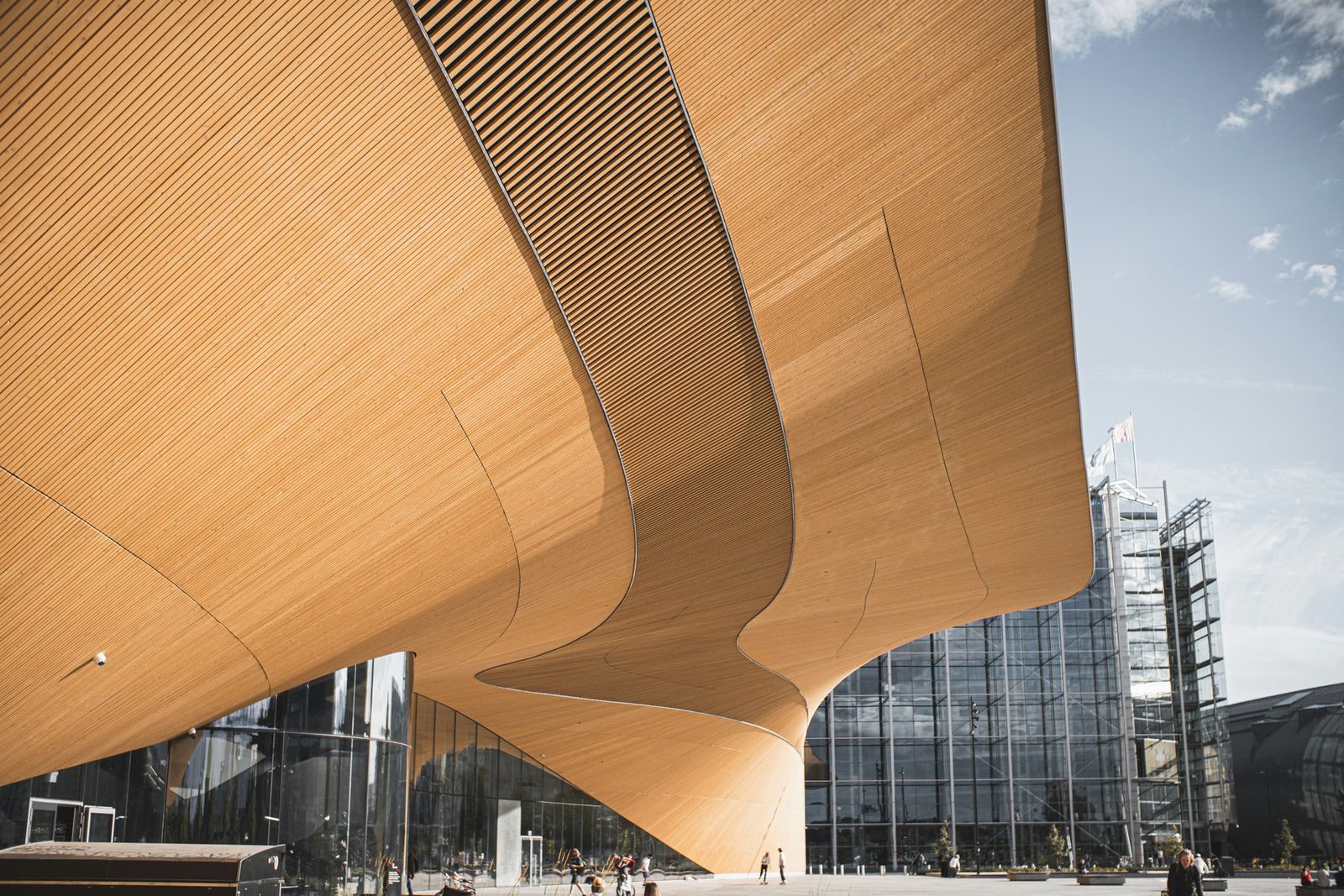 A sweeping curved canopy clad in narrow strips of pale wood overhangs a glass entrance, seen from below