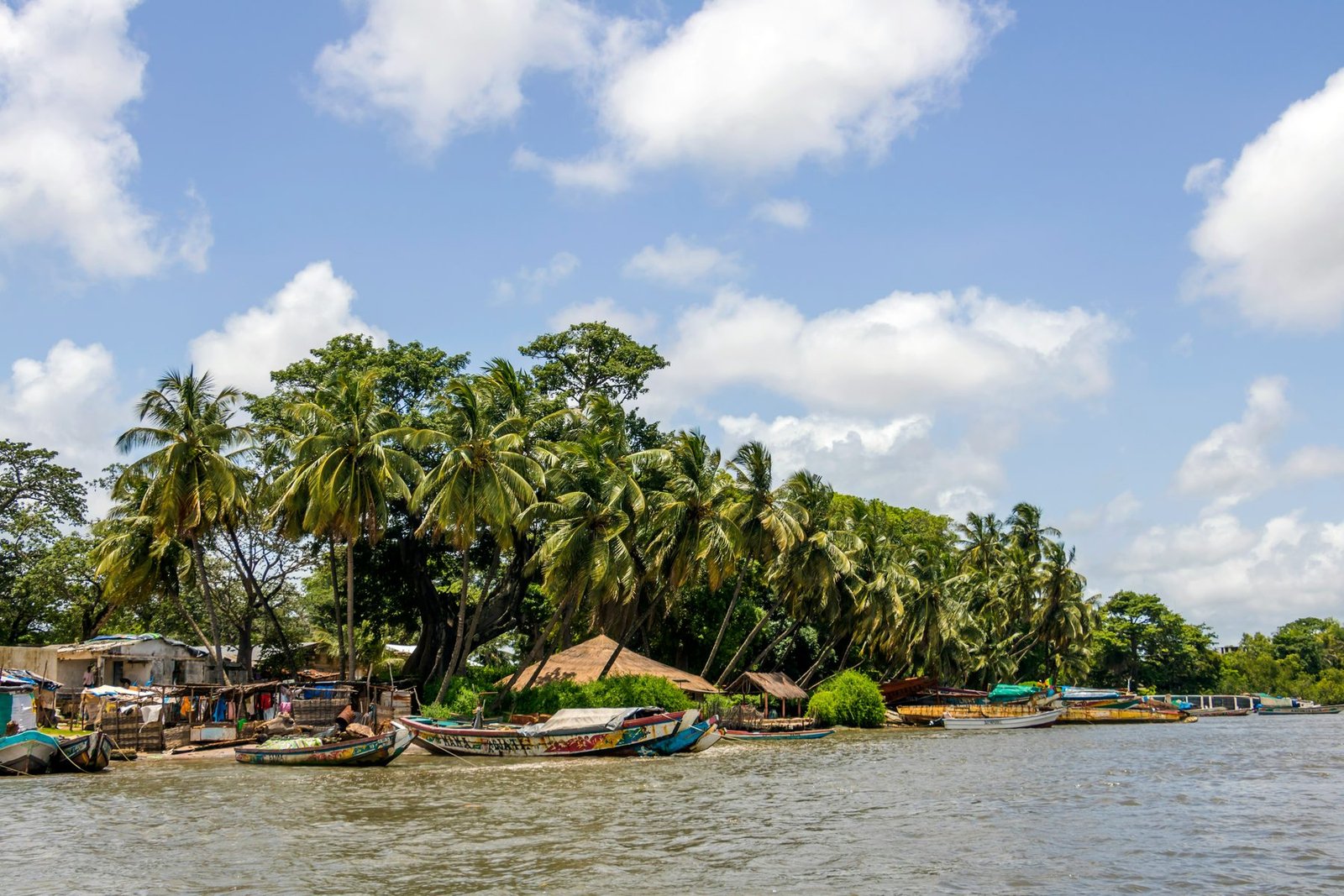 Painted boats are drawn up on a river shore beneath a dense line of coconut palms under a blue sky with white clouds