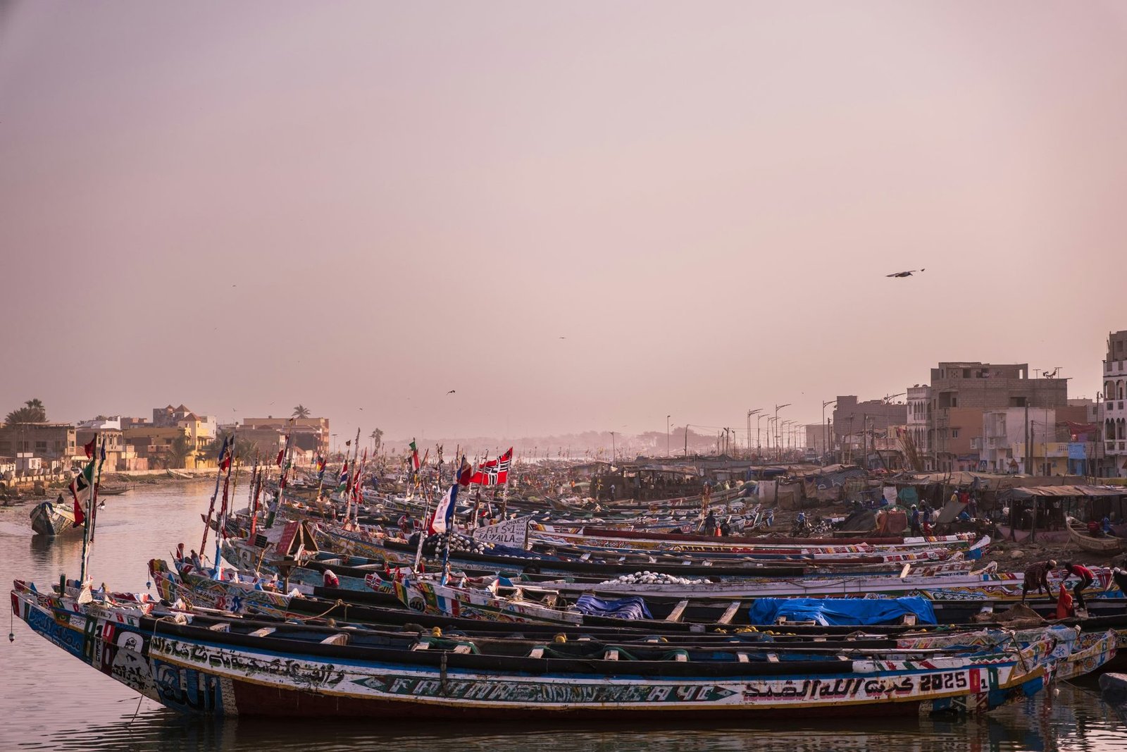 Rows of long wooden fishing boats are packed along a riverbank under a pink hazy sky