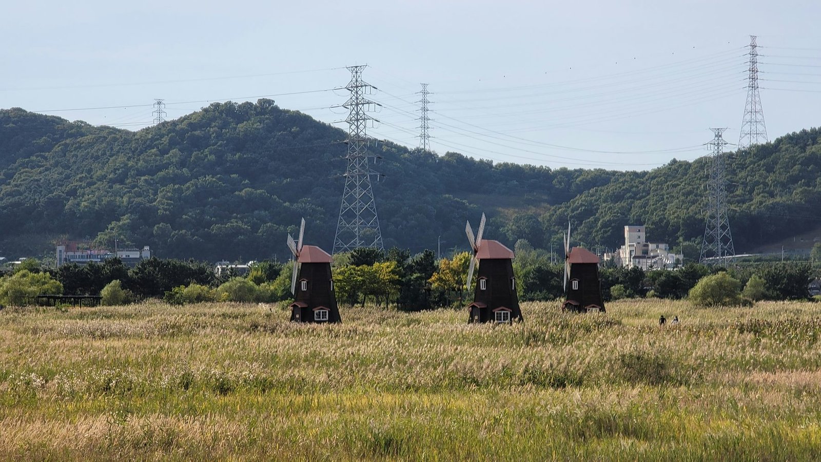 Three small dark windmills stand in a wide field of grasses below wooded hills and electricity pylons