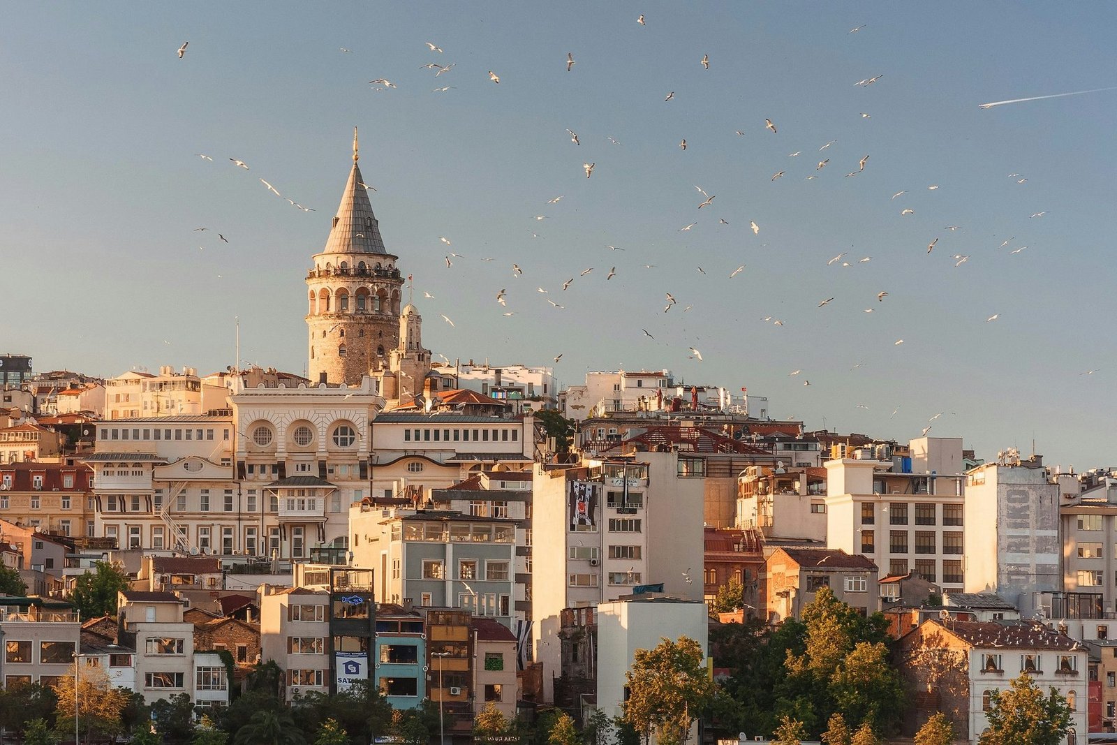 A round stone tower with a conical roof rises above pale apartment buildings on a hillside in warm light, with a flock of gulls in the sky