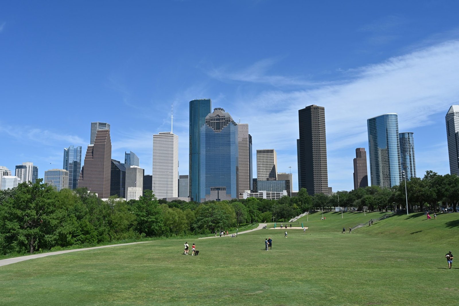 Office towers rise behind a line of trees above a wide sloping lawn with a few small figures, under a deep blue sky