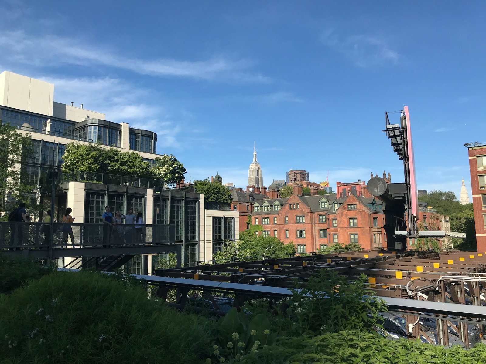 Plantings on the High Line with Chelsea buildings beyond