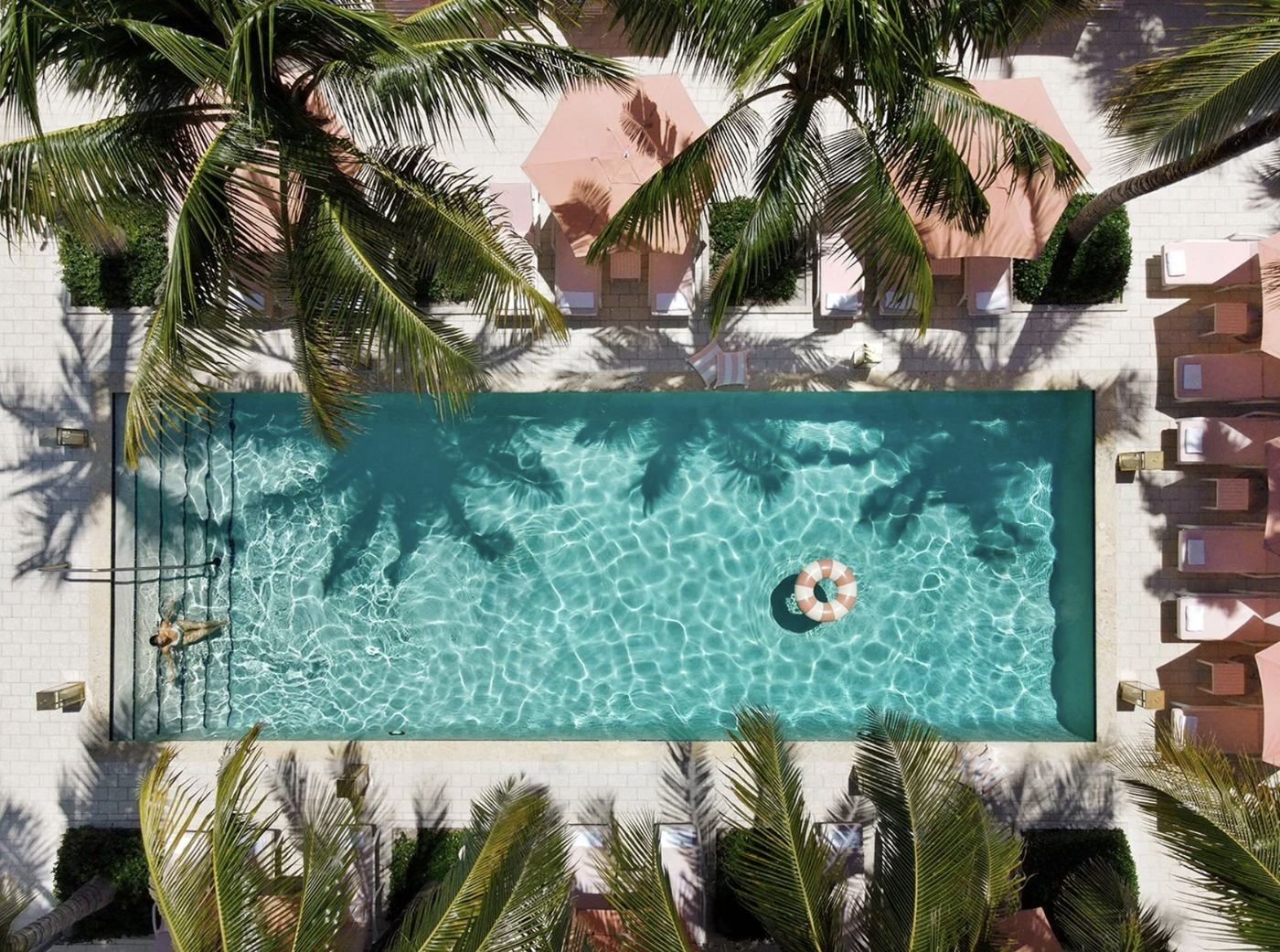 A swimming pool seen from above, ringed by palms and pink umbrellas
